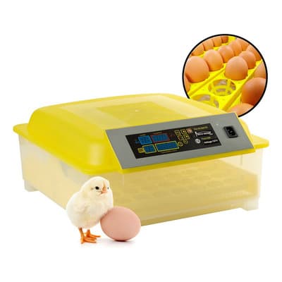 Incubadora 48 Huevos Pollos Y Aves Con Giro Automatico - $1,379.00 en Mercado Libre | PrecioMX