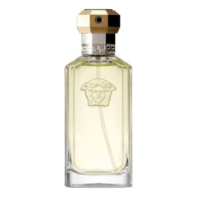 Versace The Dreamer Eau De Toilette 100ml Oriental Fougère Spray Hombre - $777.00 en Mercado Libre | PrecioMX
