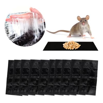 10 Piezas Trampa Adhesiva Extra Grande Para Roedores Slim Company Captura Segura Y Eficiente De Ratas Y Ratones Con Pegamento Potente Herramienta Efectiva De Caza Adhesiva Para Control De Plagas - $298.00 en Mercado Libre | PrecioMX
