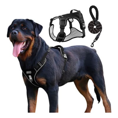 Pechera Arnés Con Correa Para Perro Chico Mediano Y Grande Color Negro Negro Talla Del Arnés M - $173.63 en Mercado Libre | PrecioMX