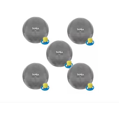 5 Pelotas Balon Suizo Pilates Yoga 75 Cm Crossfit Color Gris Oscuro Plata - $2,400.00 en Mercado Libre | PrecioMX