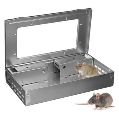 Trampa Para Ratones Reutilizable Ratonera De Ventana Única Trampa Para Ratones Trampa Jaula Para Ratas Jaulas Ratas Trampa Para Ratas Reutilizables Atrapa Ratones Tranpa Para Ratones Cxmqiaga - $167.62 en Mercado Libre | PrecioMX