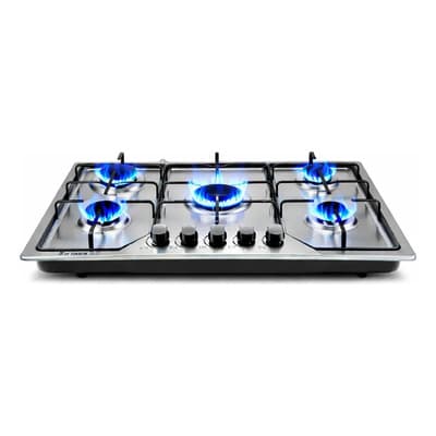 Parrilla A Gas 5 Quemadores Acero Inoxidable Empotrable Plateado