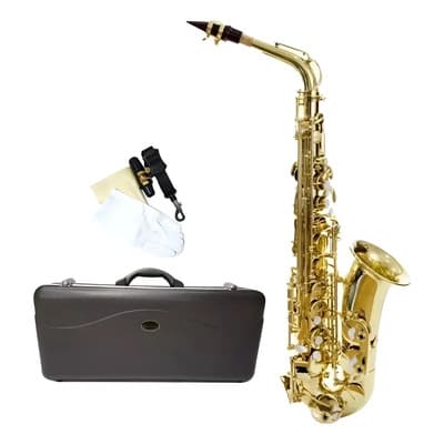Silvertone Slsx009 Saxofon Alto Tono Eb Laqueado Estuche Blk Dorado - $9,655.00 en Mercado Libre | PrecioMX