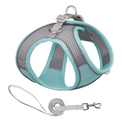 Pechera Arnés Transpirable Cómodo Con Correa Para Perro Gato Verde G - $81.00 en Mercado Libre | PrecioMX