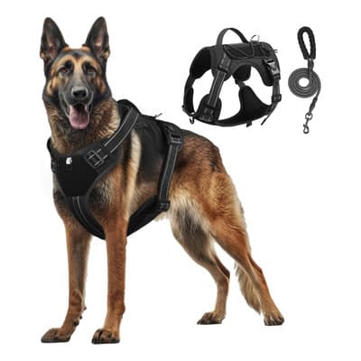 Pechera Arnés Táctica Con Correa Para Perro Mediano Y Grande Color Negro Talla Del Arnés Xl - $192.06 en Mercado Libre | PrecioMX