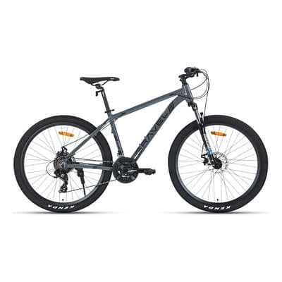 Mountain Bike Gravel Everest R29 21v Disco Mecanico Shimano Color Gris Tamaño Del Cuadro M