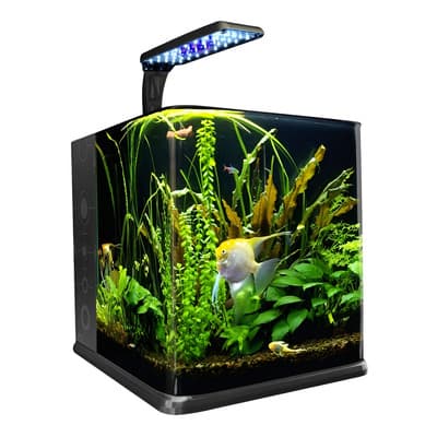 Kit Acuario Nano Cubo 18 Lt Vidrio Luz Led Filtro Por Etapas Negro - $1,759.00 en Mercado Libre | PrecioMX