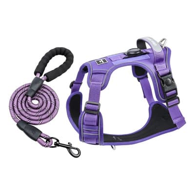 Pechera Arnés Airtag Con Correa Para Perros Extra Grandes Morado M - $213.31 en Mercado Libre | PrecioMX