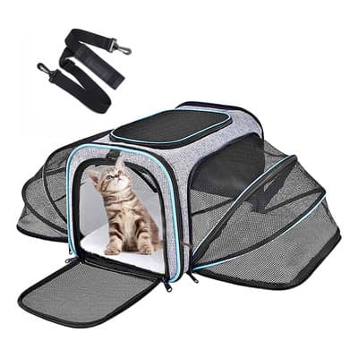 Mochila Transportadora Gato Perro Mascotas 4 Lado Expandible