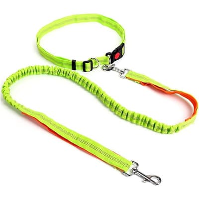 Correa Perro Manos Libres Ejercicio Correr Cintura Elastica Verde/naranja