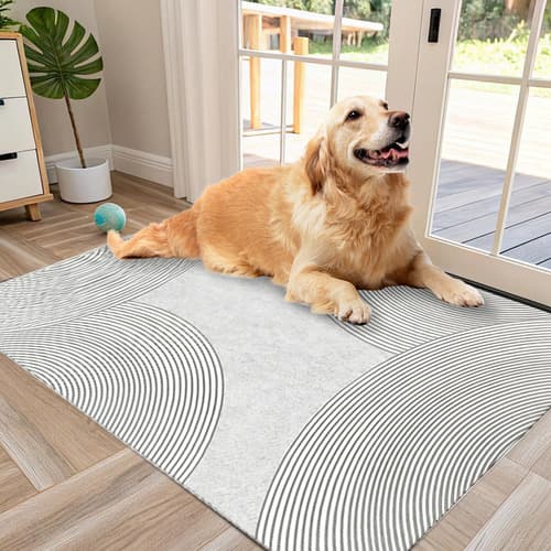 Alfombra Tapete Para Dormitorios Sala Absorción Agua 80x120 - $127.36 en Mercado Libre | PrecioMX