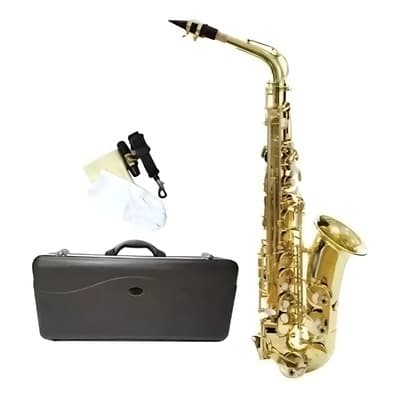 Saxofon Silvertone Slsx009 Con Estuche Rigido + Full Color Dorado - $9,655.00 en Mercado Libre | PrecioMX
