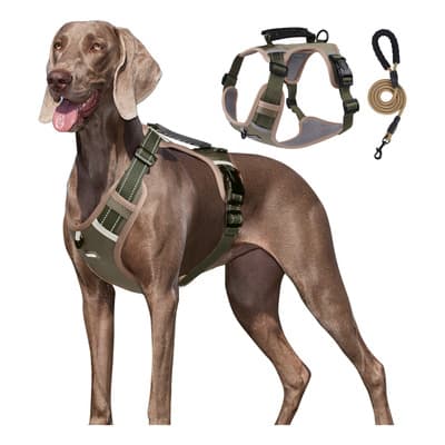 Pechera Arnés De Seguridad Para Perro Chico Mediano Y Grande Color Caqui Talla Del Arnés L - $185.13 en Mercado Libre | PrecioMX