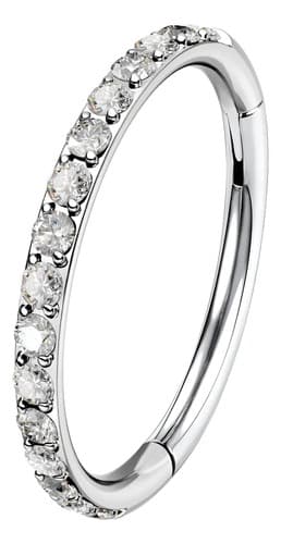 Piercing Nariz Titanio Circonita 16g Anillo De Segmento - $155.49 en Mercado Libre | PrecioMX