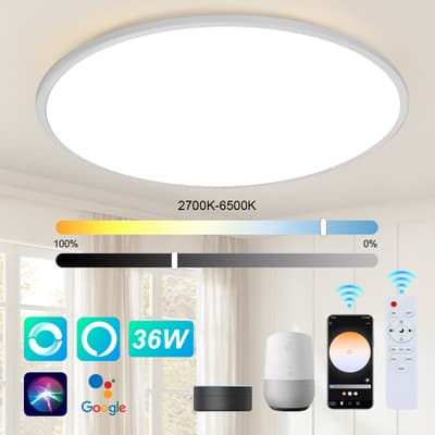 Naiwant® Lámpara Led De Techo Moderna Colgante 36w Wifi Alexa Google Home Con Control Remoto Inteligente Lámpara Techo Tricolor Blanco App Control 2700-6500k Brillo Ajustable - $253.87 en Mercado Libre | PrecioMX