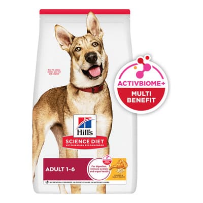 Croquetas Para Perro Hill's Science Diet Alimento Para Perro Adulto Sabor Pollo 15kg