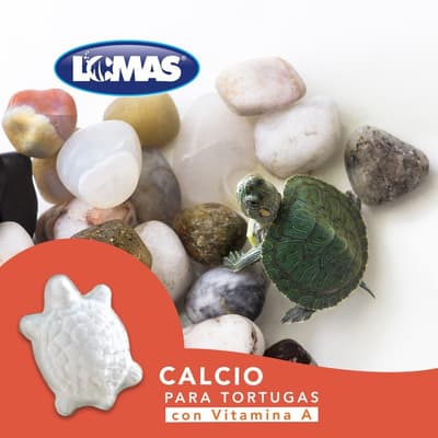Calcio Para Tortugas De Agua Con Vitamina A Acuario Lomas 2 Pzas - $39.77 en Mercado Libre | PrecioMX