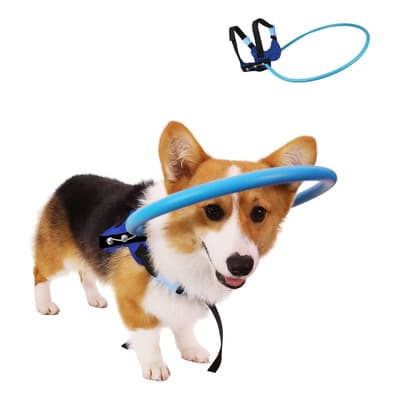 Mebix Trd Arnés Anticolisión Para Perros Ciegos Extra Chico Color Azul/negro Talla Del Arnés Xs