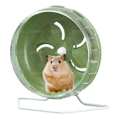 Green Hamster Toy Wheel With Stand, Diameter 21.5cm Verde - $215.75 en Mercado Libre | PrecioMX