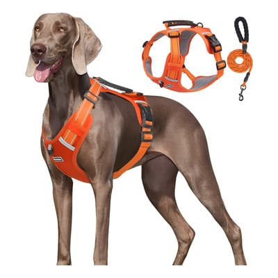 Pechera Arnés De Seguridad Para Perro Chico Mediano Y Grande Naranja Con Correa G - $187.00 en Mercado Libre | PrecioMX