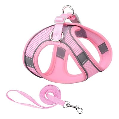 Pechera Arnés Transpirable Cómodo Con Correa Para Perro Gato Rosa Xs - $78.57 en Mercado Libre | PrecioMX