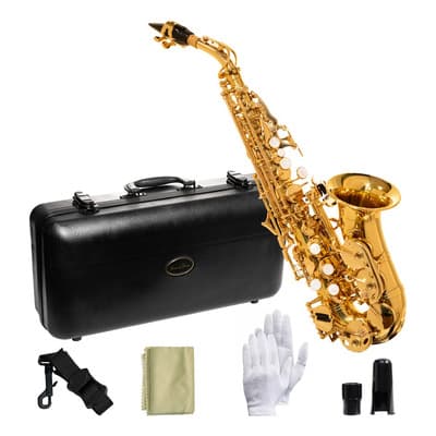Sax Silvertone Slsx001 Soprano Curvo Laqueado Con Estuche - $8,860.00 en Mercado Libre | PrecioMX