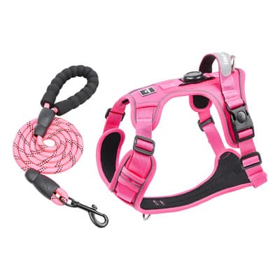 Pechera Arnés Airtag Con Correa Para Perros Extra Grandes Fucsia Xl - $219.00 en Mercado Libre | PrecioMX