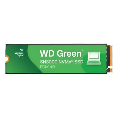 Interno Western Digital Wds100t4g0e-00cps0 1tb Negro
