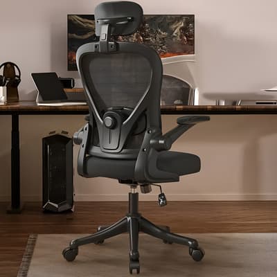 Silla Amia Ergonómica Silla De Escritorio Oficina Soporte Lumbar Ajustable Giratoria Vidita Negro
