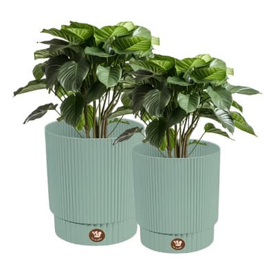 2 Macetas Grande Moderna Minimalista Interior Exterior 20 L Azul Oasis